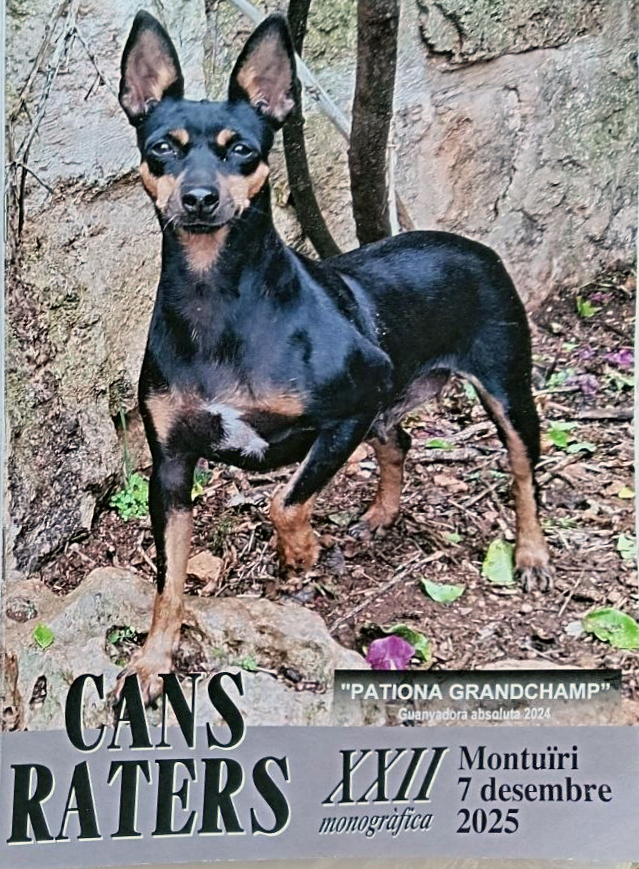 monografica-XXI-2024